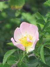 2009-Hajek-019