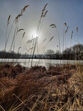 slunce nad rybníkem-1