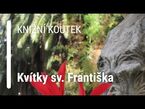 Knižní koutek: Kvítky sv. Františka