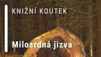 Knižní koutek: Milosrdná jizva