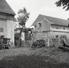 Akrobatické kousky na zahradě fary ve Žlunicích. Foto Pavel Láska 1957