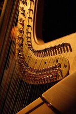 harp-955072_640