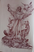 Jak František kázal zvířatům - ilustrace Jak František kázal zvířatům - ilustrace