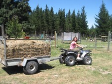 2009,  Novy Zeland, Farma Wai ariky, Hamner Springs