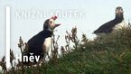 Knižní koutek: Hněv